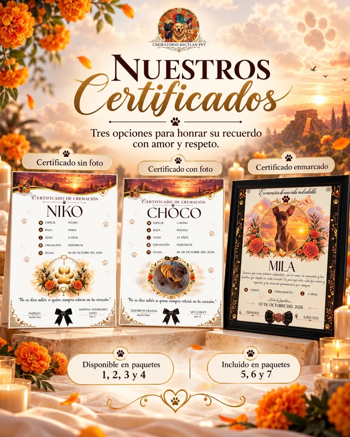 Las tres opciones de certificado de Mictlan PET