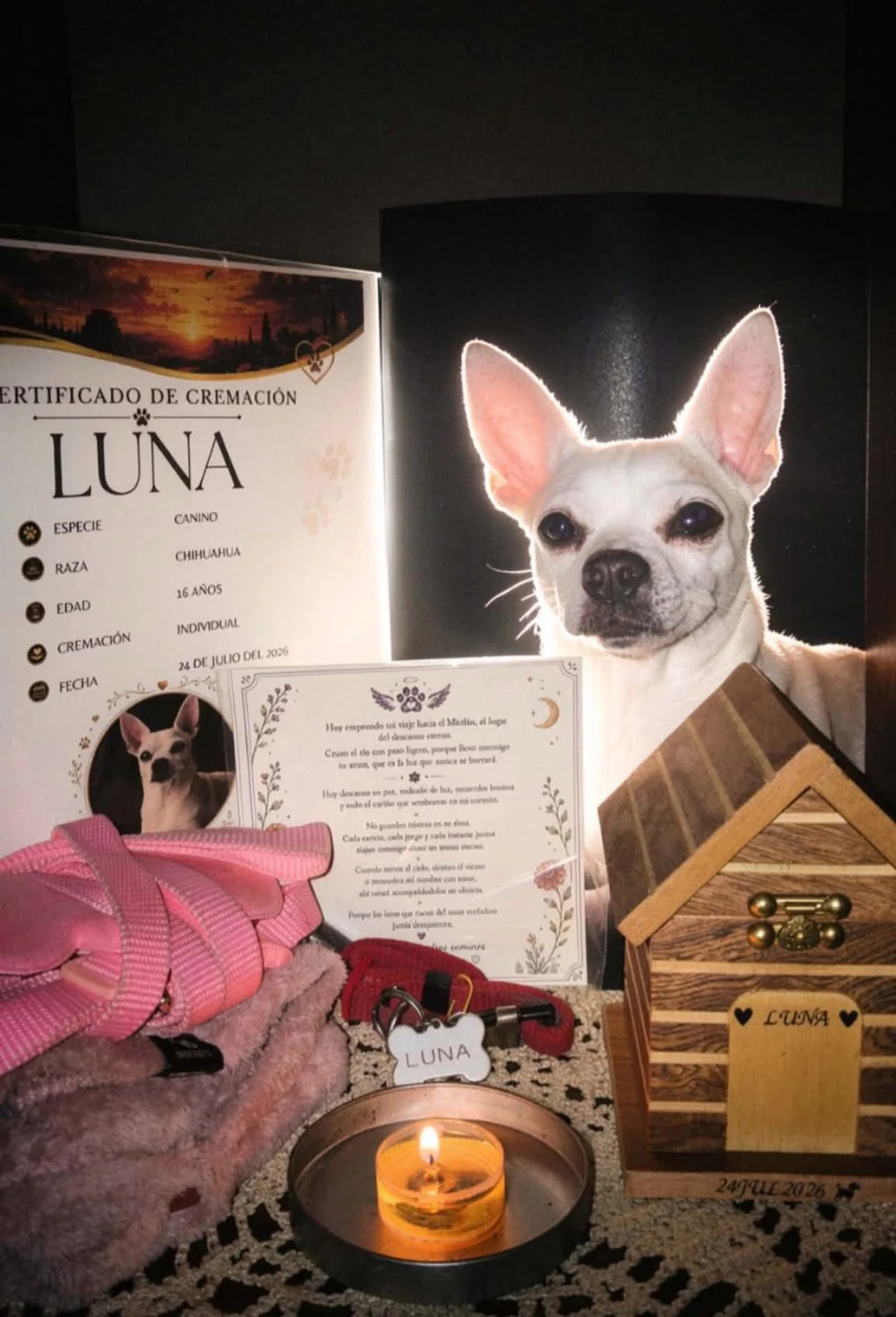 Servicio funerario de mascota Luna realizado por Mictlan PET