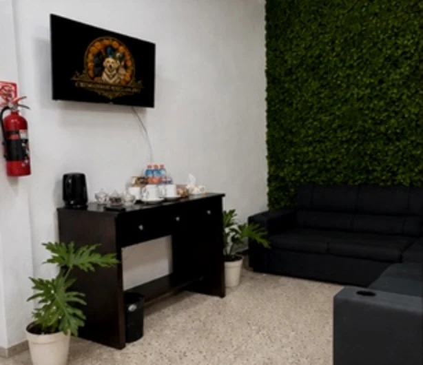Sala de despedida con sillones y muro vegetal
